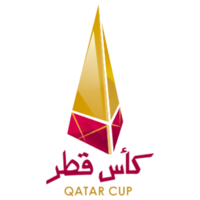 卡塔尔协会杯